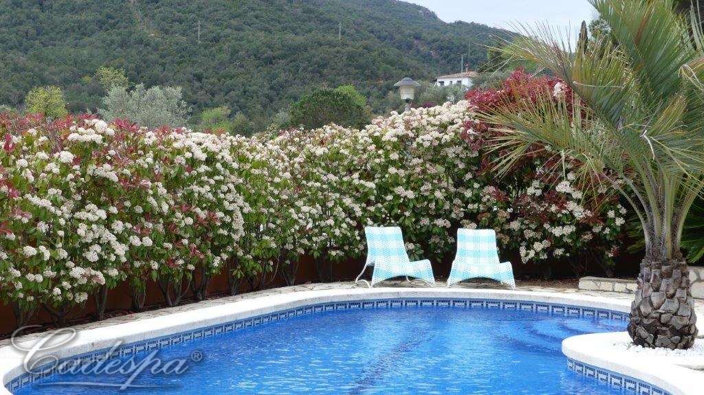 Ухоженная вилла с садом и бассейном в одном из лучших райнов города Калонже